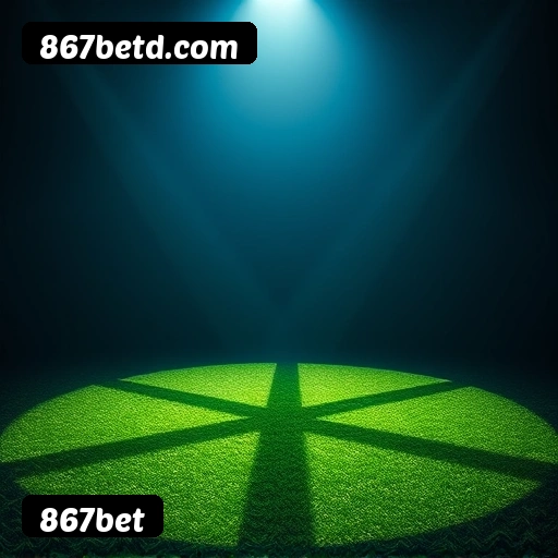Suporte 24 horas 867bet